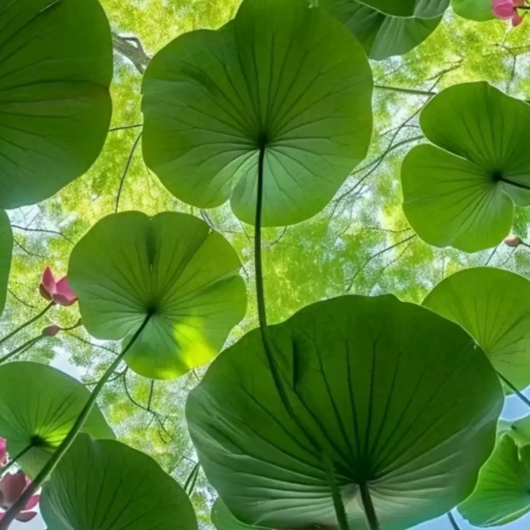 英超积分榜风云：利物浦领跑，热刺紧追，曼联逆袭升第10